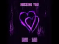 Download Lagu The Chainsmokers \u0026 Glass Animals - Missing You (Official Audio)