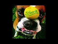 Snot - Stoopid (1997 CD Audio)
