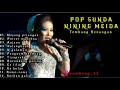 Download Lagu Nining Meida Full Album | tembang lawas