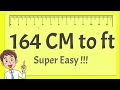 164 cm in feet