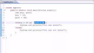 Java Tutorial for Beginners 11 Logical Operators