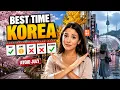 Best Time to Visit South Korea Month-by-Month Weather Guide