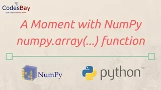 Using NumPy array function A Moment with NumPy