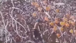 عندما وقف الملعب كله يشاهد العظمة   جمهور الاهلى   جرب تدخل الاستاد دندنها