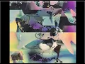 Pixel Shell Sorting visualization on a colorful cat img 720x682