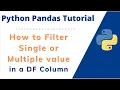 How to Filter Pandas data frame for specific value or multiple values in a column