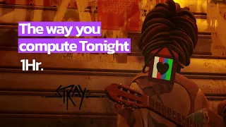 The Way You Compute Tonight 1Hr Stray 