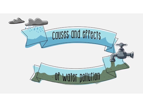 Download MP3 Causes and effects of water pollution - Sustainability | ACCIONA