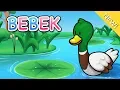 Download Lagu Lagu Anak Indonesia | Bebek