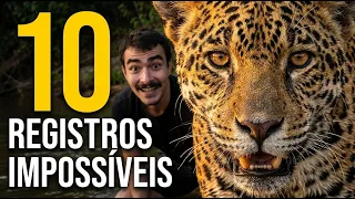 Onça-Pintada Caçando TUDO: Boto, Jacaré-Açu, Sucuri...