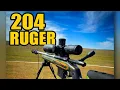 204 Ruger Varmint Rifle 32gr V-MAX Precision from 200 to 800 Yards