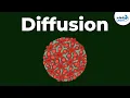 Cell - Diffusion Don t Memorise