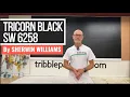 Tricorn Black SW 6258 by Sherwin Williams