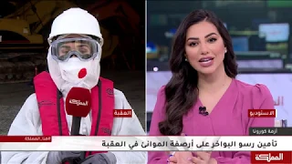 كيف يتم تأمين رسو البواخر على أرصفة الموانئ في العقبة 