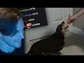 Jerma Otto eats a carrot