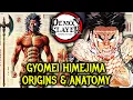 Gyomei Himejima The Story Of The Blind Hashira Who Saw The Transparent World