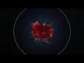 (sash. - Goo) X (K!ddingboi - 若即若離)