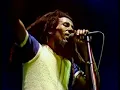 Bob Marley Live 80 HD "Work - Natty Dread" (8/10)