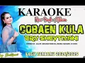Download Lagu COBAEN KULA KARAOKE TARLING 2024 VOC:ERY SHEVTIYANI