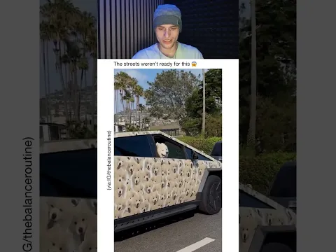 The streets weren’t ready for this 😱