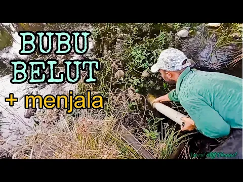 Download MP3 #EP1118 Membubu Belut dan Menjala