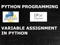 Python Programming Variables Assignment