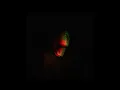 Funland - Stripped - Coyle Girelli