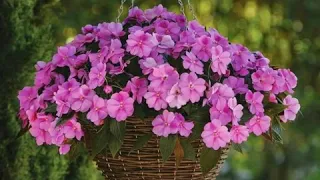 اللهم أرنا الحق حقا وارزقنا اتباعه وأرنا الباطل باطلا وارزقنا اجتنابه 