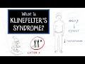 What is Klinefelter s Syndrome