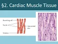 Ch 11 Cardiovascular System Voice Over 1