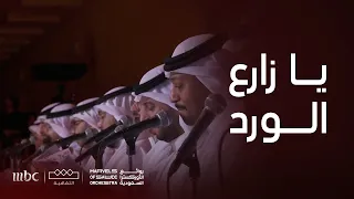 الفرقة السعودية ي بدعون بأغنية وردك يا زارع الورد للفنان طلال مداح 
