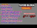 TAYUB BLORA TERBARU//MANGGOLO LARAS