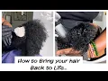 How to bring your hair back to Life…