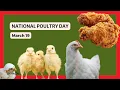 NATIONAL POULTRY DAY - March 19
