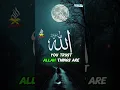 Lagu Vertrouw op Allah voor alles #Koran #Islam #Muftimenk #Motivering #ShortsViral #Herinneringen