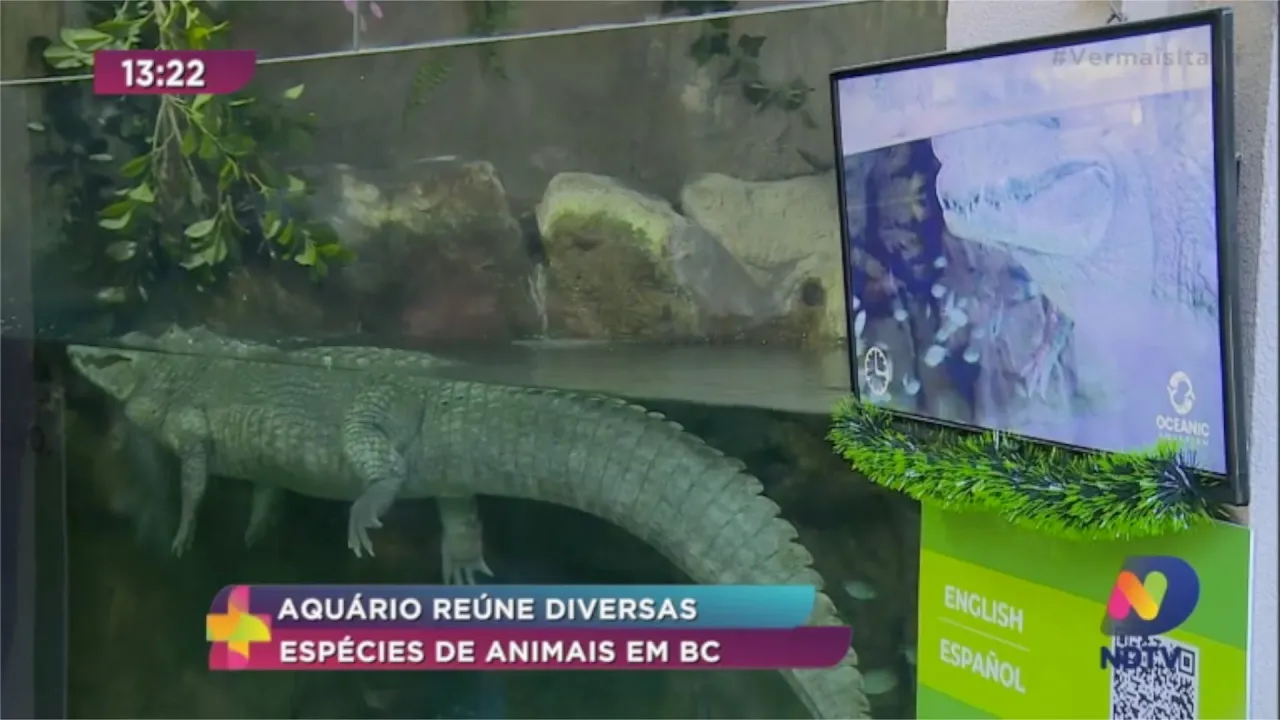 Aquário é atração turística de Balneário Camboriú