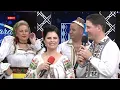 Lagu Simona Dinescu \u0026 Nicuşor Iordan ➡️ Te rog mandrută mă iartă