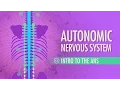 Lagu Autonomic Nervous System: Crash Course Anatomy \u0026 Physiology #13