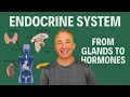 Mastering the Endocrine System Hormones Glands and Homeostasis FULL LECTURE