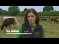 Dectomax - Good worm control means better weight gain