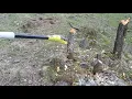 What can the Ryobi 18V Pole saw cut