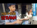 Download Lagu MALAYSIAN SERAMA  | BACKYARD FARM