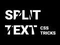 How to make text split on hover Pure css Effect HTML5 CSS3 Techy Programmers