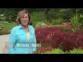 Melinda’s Garden Moment - Creating a Colorful Coleus Inspired Design