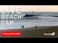 Live Surf Cam Manasquan Inlet New Jersey