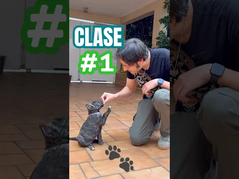 Primera clase de Educación Canina con Kali 🐶 Comencé desde el primer día con su crianza 🙌🏼 ❤️‍🔥