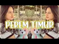 Lagu PEREM TIMUR - Lagu Joget Viral - REMIX TERBARU 2025
