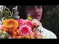 Stephen Dawes - Happiest Girl (Lyric Video)