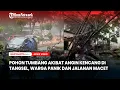 Download Lagu Pohon Tumbang Akibat Angin Kencang di Tangsel, Warga Panik dan Jalanan Macet Parah
