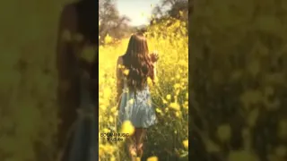 مقدمة موسيقى ليلة حب   أم كلثوم دندنها